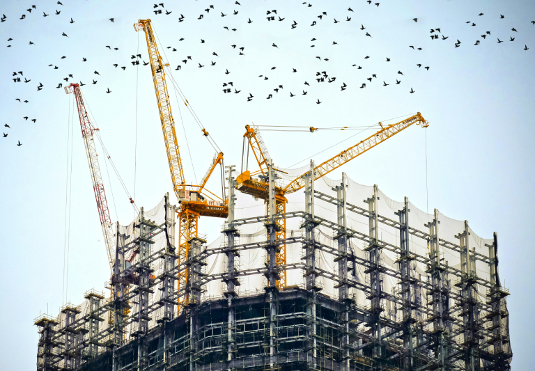 building construction with birds